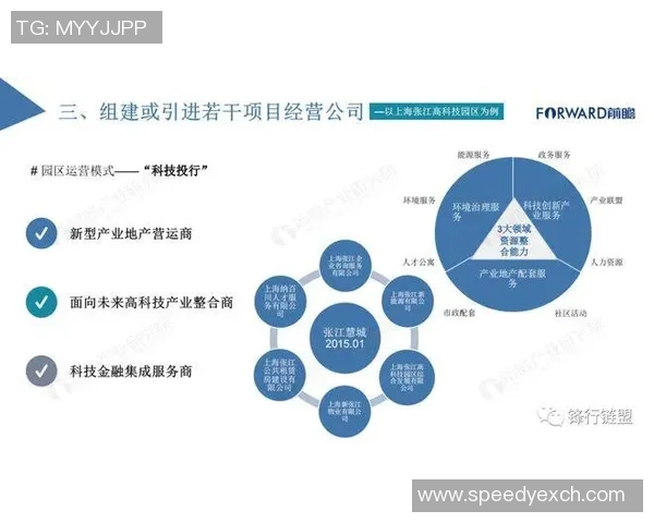 安格斯与波尔多对决深度分析及比赛前瞻策略探讨